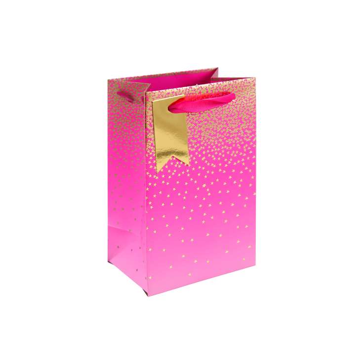 Small Gift Bags (12.7cm x 20.3cm) - Pink Ombre