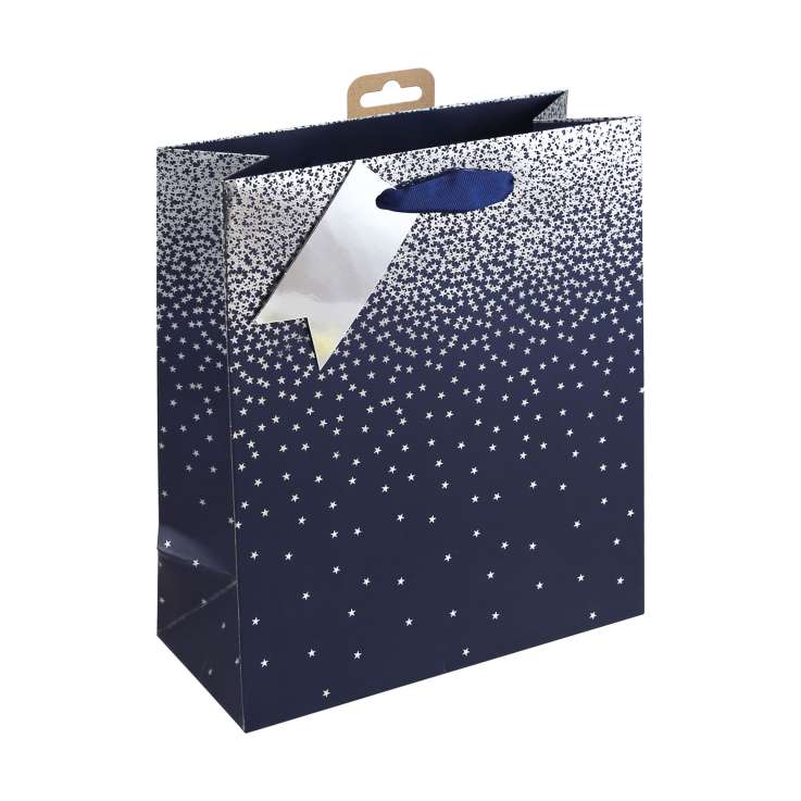 Medium Gift Bags (21.5cm x 25.5cm) - Navy Ombre