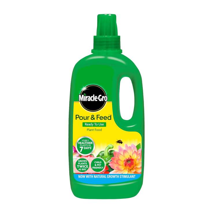 Miracle-Gro Pour & Feed Plant Food 1L