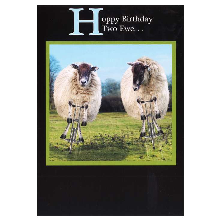 Everyday Greeting Cards Code 50 - Birthday Humour