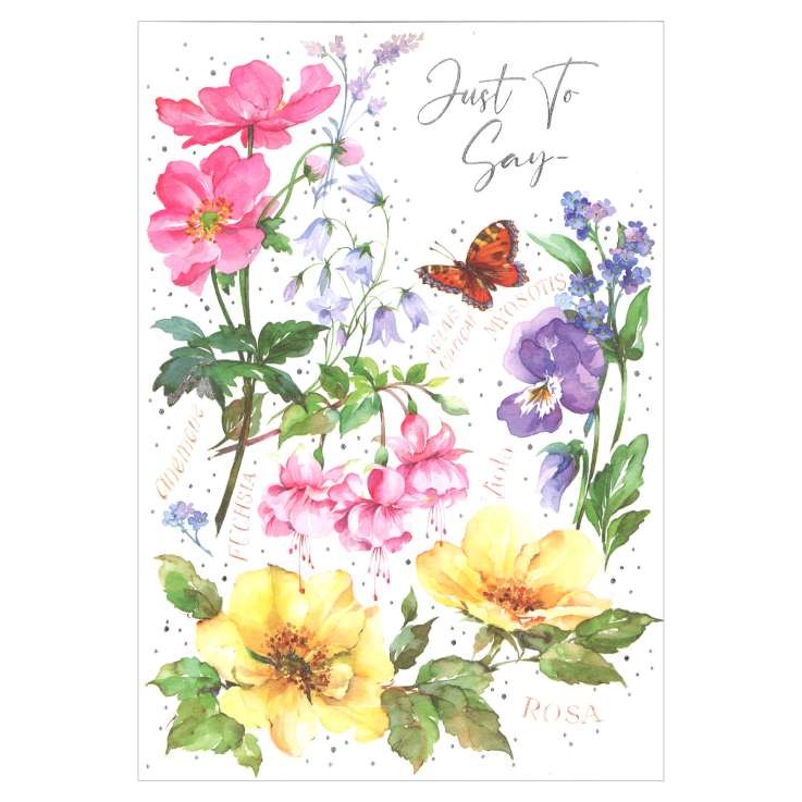 Everyday Greeting Cards (Code 50) - Just to Say