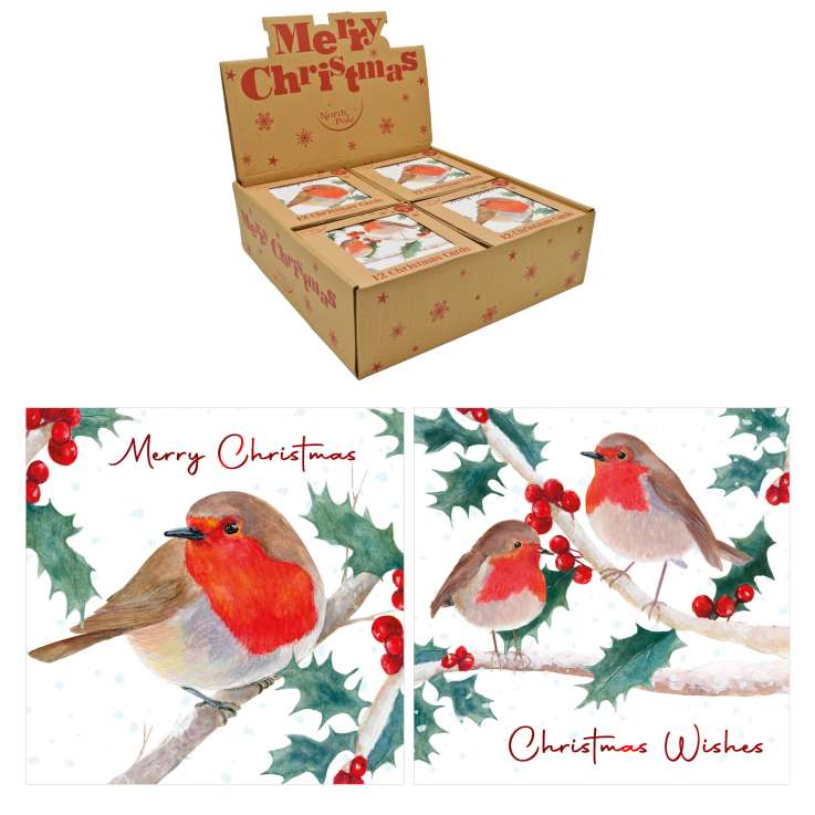 Boxed Christmas Cards 12 Pack - Kraft Robin