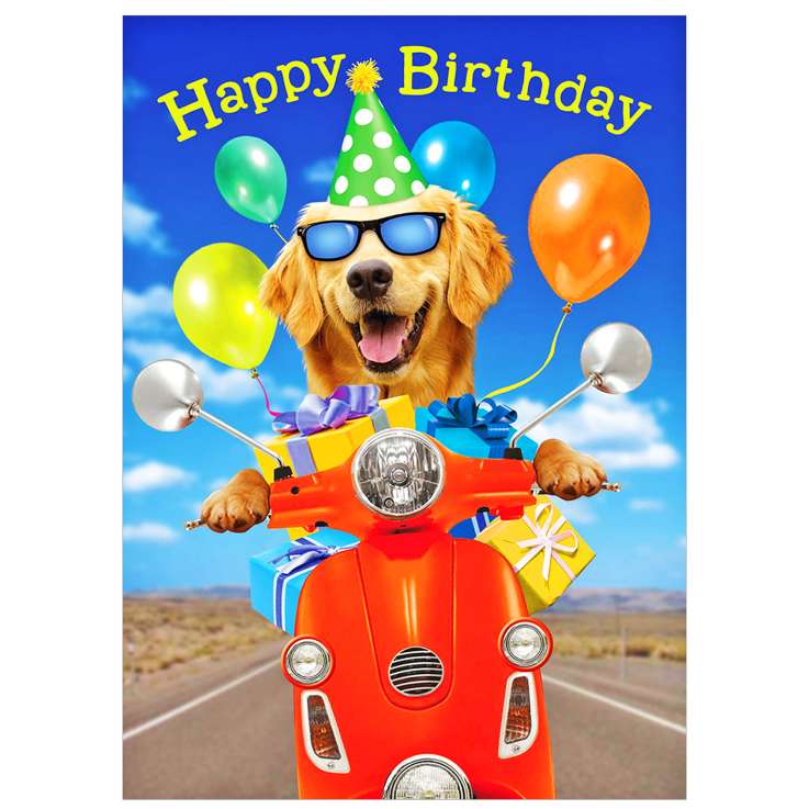 Garlanna Greeting Cards Code 50 - Dog Scooter
