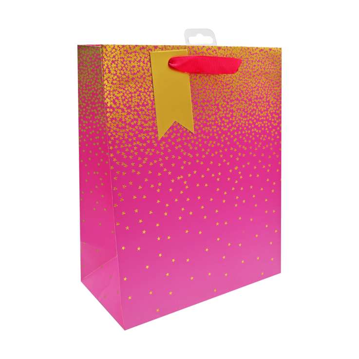 Medium Gift Bags (21.5cm x 25.5cm) - Pink Ombre