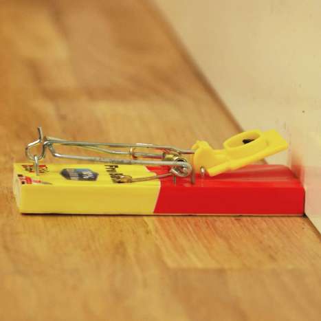 The Big Cheese Fresh Baited Mouse Trap