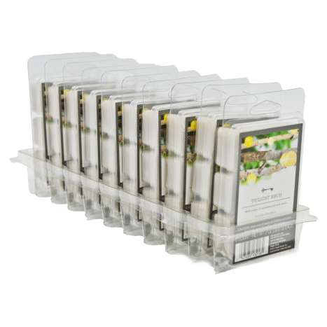 Scented Wax Melts 6 Pack - Twilight Birch