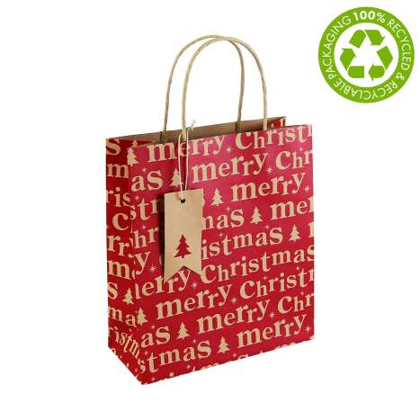 Medium Gift Bags (21.5cm x 25.3cm) - Kraft Merry Christmas Text