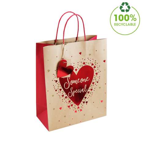 Medium Gift Bags (21.5cm x 25.5cm) - Someone Special