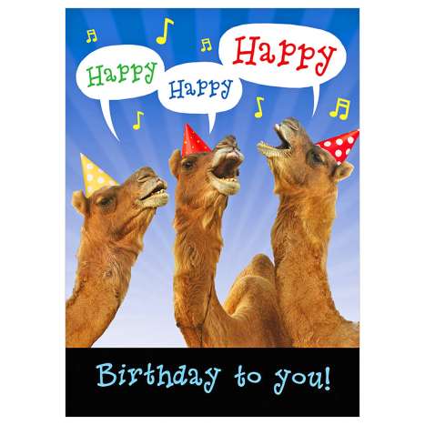 Garlanna Greeting Cards Code 50 - Humour Camels