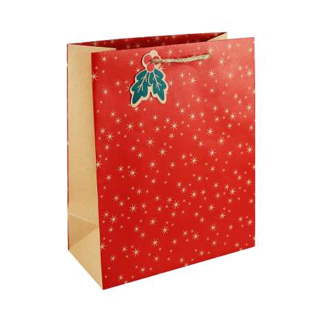 Large Gift Bags (26.5cm x 33cm) - Holy & Stars