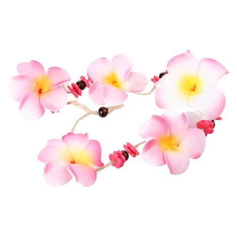 Bahama & Co. Car Air Freshener - Waikiki Wild Hibiscus