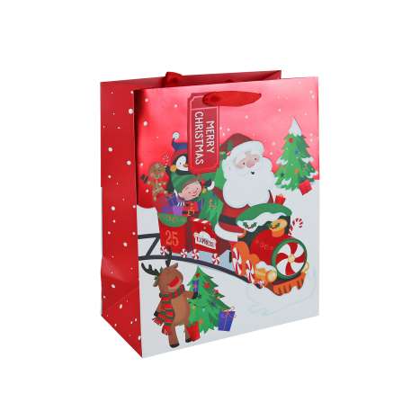 Medium Gift Bags (21.5cm x 25.3cm) - Santa Train