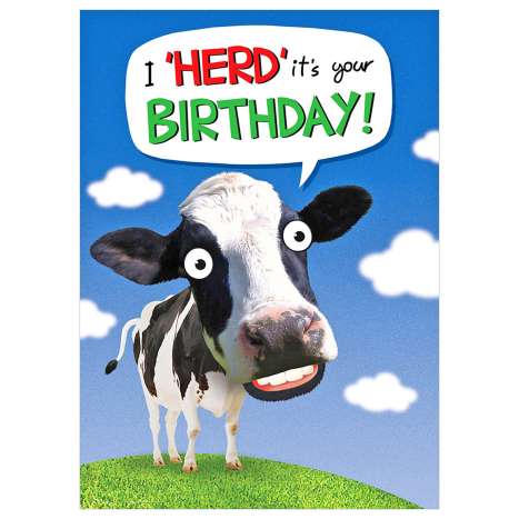 Garlanna Greeting Cards Code 50 - Humour Herd