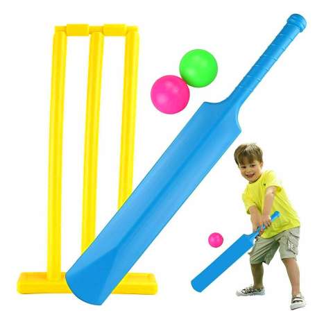 Championship Cricket Set