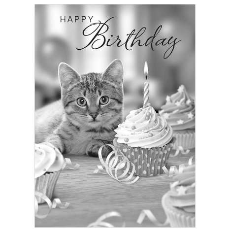 Garlanna Greeting Cards Code 50 - Cat Photo