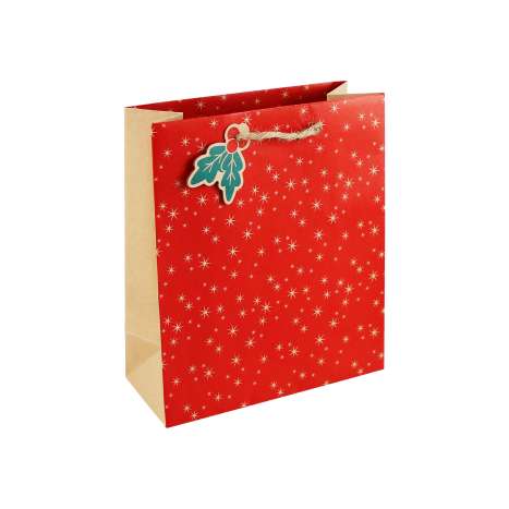 Medium Gift Bags (21.5cm x 25.3cm) - Holly & Stars