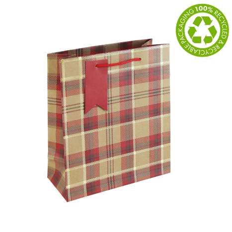 Medium Gift Bags (21.5cm x 25.3cm) - Kraft Tartan