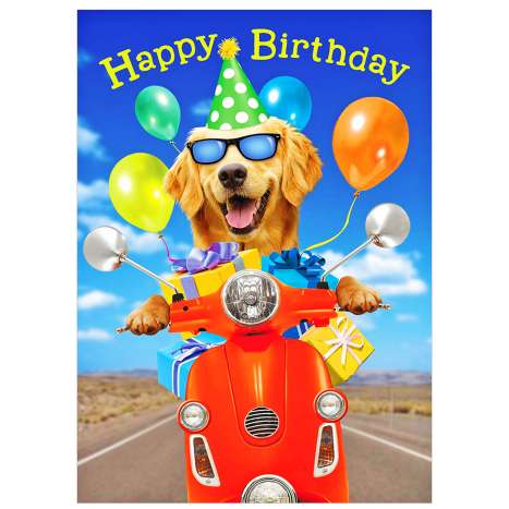 Garlanna Greeting Cards Code 50 - Dog Scooter