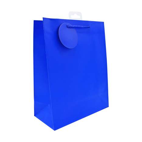 Medium Gift Bags (21cm x 26cm) - Blue