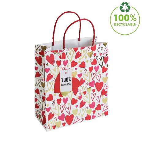 Medium Gift Bags (21.5cm x 25.5cm) - Scattered Hearts