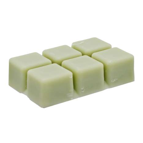Threshold Scented Wax Melts 6 Pack - Blue Agave & Cactus