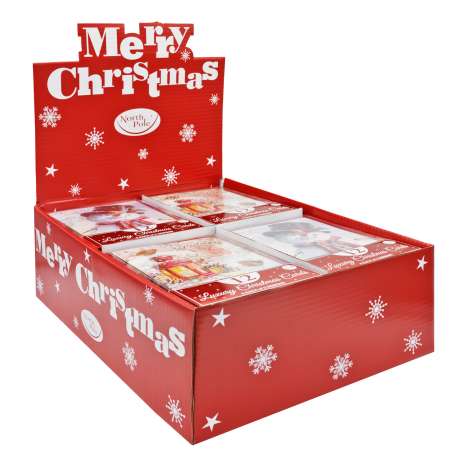 Boxed Christmas Cards 12 Pack - Snowman / Robin