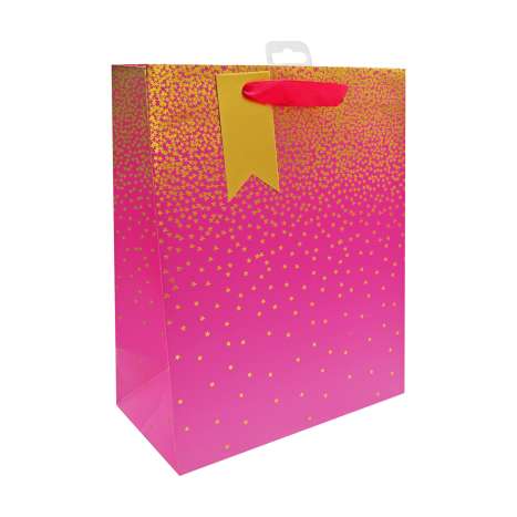 Medium Gift Bags (21.5cm x 25.5cm) - Pink Ombre